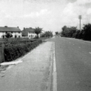013Ness Road 2